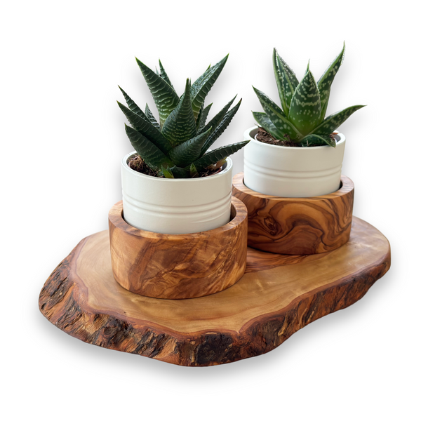 Ruhequelle mit 2 Pflanzenhaltern