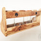 Regal mit 4 Glas Dosen und Deckel